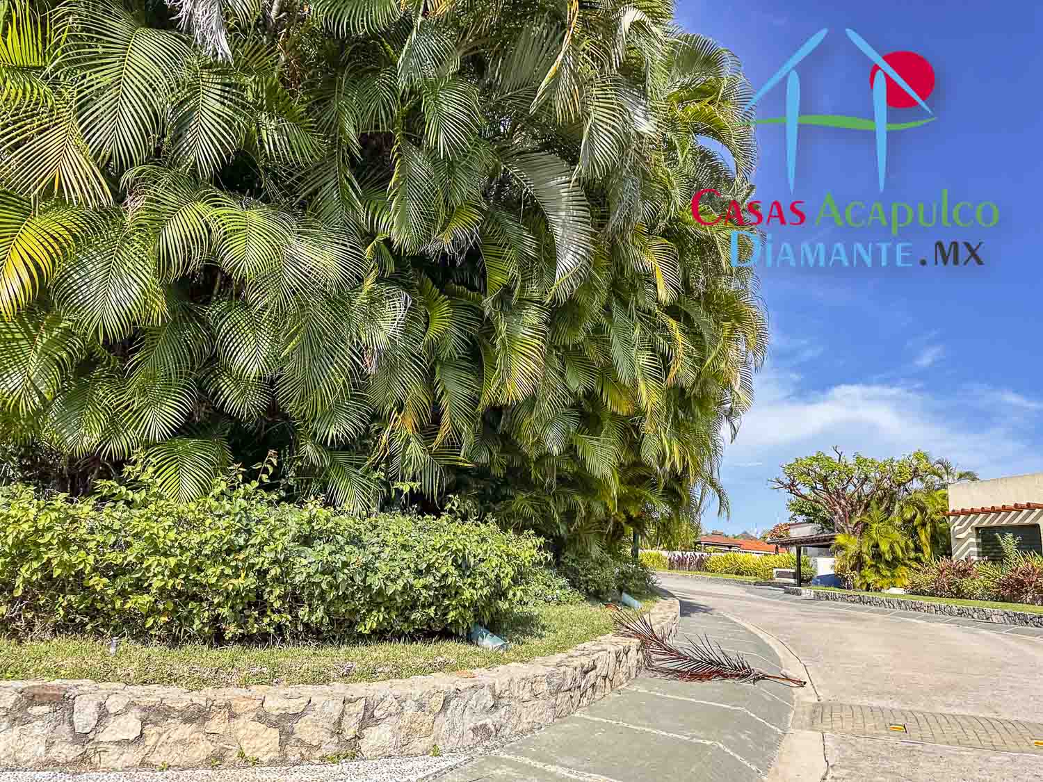 Terreno La Cima LC 33, 34 y 35 - Vialidades La Cima 13 Terreno La Cima LC 33, 34 y 35 - Vialidades La Cima 13